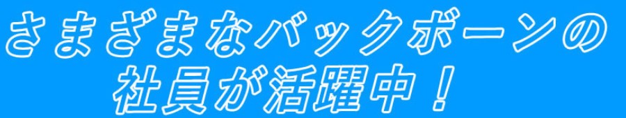 さまざまなバックボーンの社員が活躍中！